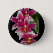 Miltonioda Kirschblüte Button (Vorderseite)