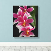 Miltonioda Sakura Leinwanddruck (Insitu (Holzboden))