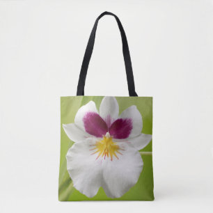 Miltoniopsis Roezlii (Pansy Orchids) Tasche