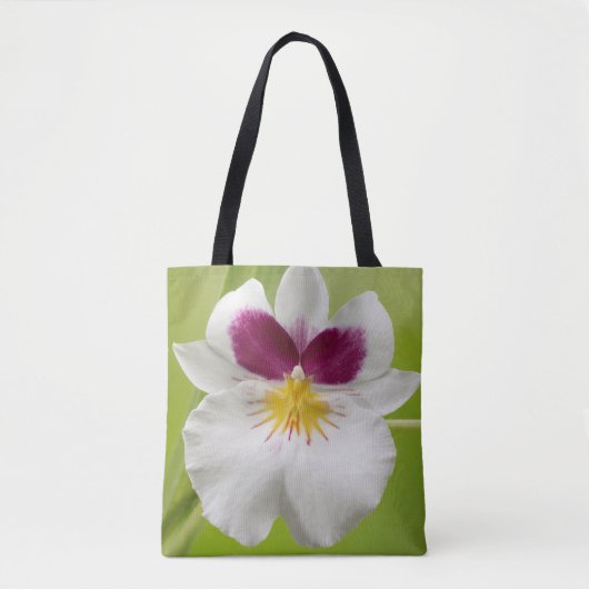 Miltoniopsis Roezlii (Pansy Orchids) Tasche (Vorderseite)
