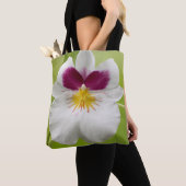 Miltoniopsis Roezlii (Pansy Orchids) Tasche (Von Nahem)