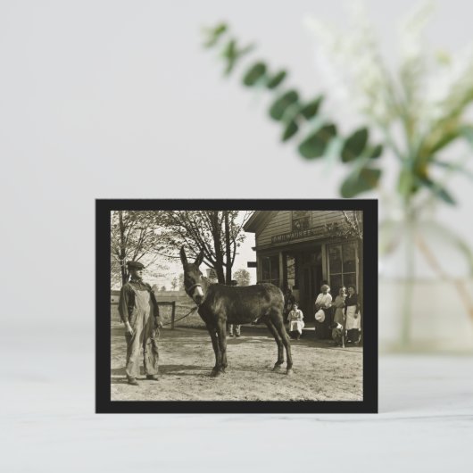 Milwaukee Mule und Bauer Vintag Postkarte (Stehend Vorderseite)