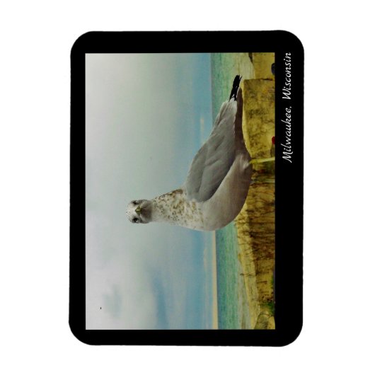 Milwaukee, Wisconsin Magnet (Vertikal)