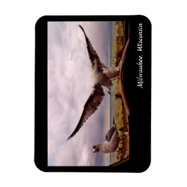 Milwaukee, Wisconsin Magnet