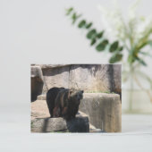 Milwaukee-Zoobär Postkarte (Stehend Vorderseite)