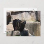 Milwaukee-Zoobär Postkarte (Vorne/Hinten)
