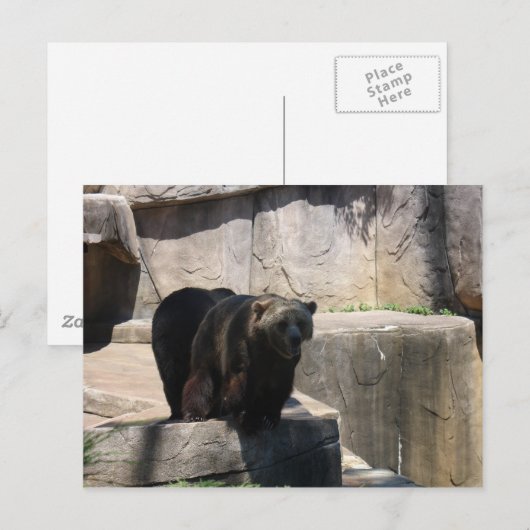 Milwaukee-Zoobär Postkarte (Vorne/Hinten)