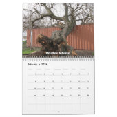 Mimis Zoo-Kalender Kalender (Feb 2026)