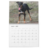 Mimis Zoo-Kalender Kalender (Mär 2027)