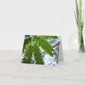 Mimosa-Blätter Karte (Vorderseite)