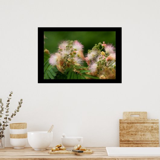 Mimosa-Blüten Poster (Küche)