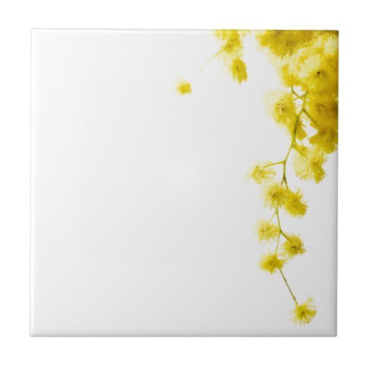 Mimosa Fliese (Vorderseite)