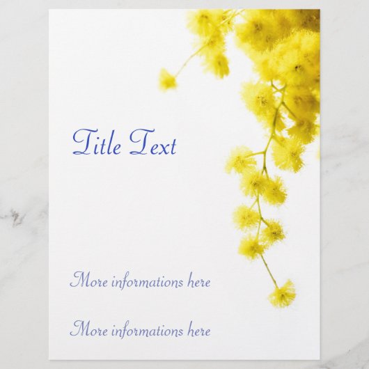 Mimosa Flyer (Vorne)