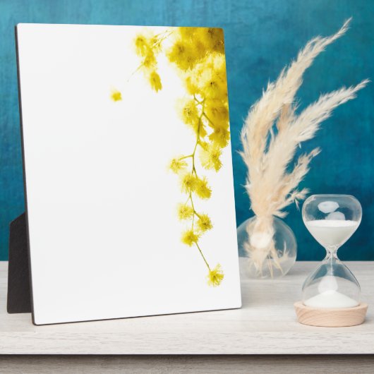 Mimosa Fotoplatte (Seite)