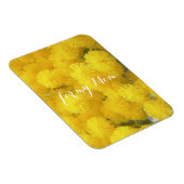 Mimosa. Gelbe Blumen. Magnet (Rechte Seite)