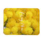 Mimosa. Gelbe Blumen. Magnet (Horizontal)