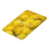 Mimosa. Gelbe Blumen. Magnet (Linke Seite)