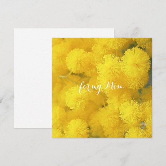 Mimosa. Gelbe Frühlingsblumen. (Vorne/Hinten)