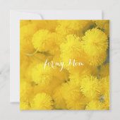 Mimosa. Gelbe Frühlingsblumen. (Vorderseite)