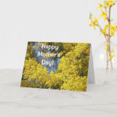 Mimosa in Bloom Muttertagskarte Karte (Gelbe Blume)
