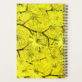 Mimosa Planer (Rückseite)