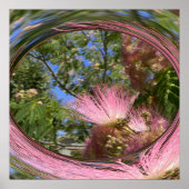 Mimosa... Poster (Vorne)