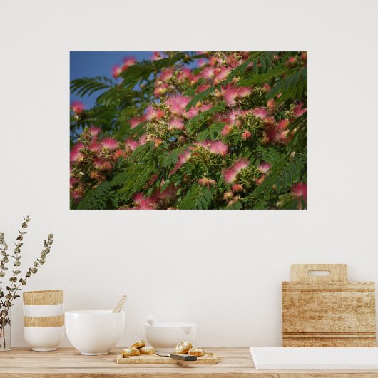 Mimosa Poster (Küche)