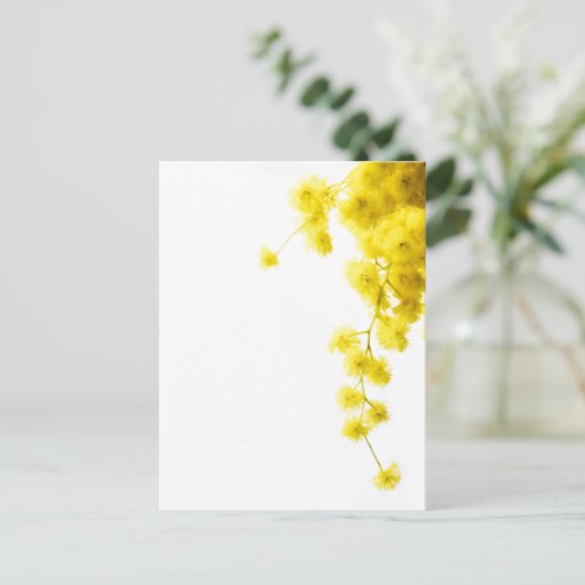 Mimosa Postkarte (Stehend Vorderseite)