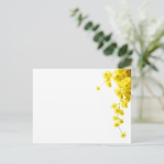 Mimosa Postkarte (Stehend Vorderseite)