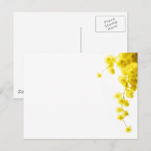 Mimosa Postkarte (Vorne/Hinten)