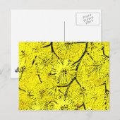 Mimosa Postkarte (Vorne/Hinten)