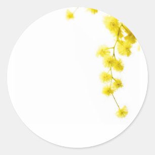 Mimosa Runder Aufkleber