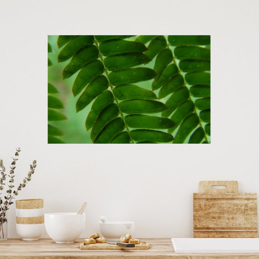 Mimosa Secrets Poster (Küche)