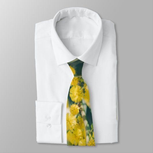 Mimosa Tree mit gelben Blumen Krawatte (Gebunden)