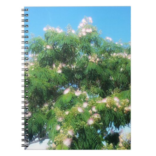 Mimosa Tree Notebook Notizblock (Vorderseite)