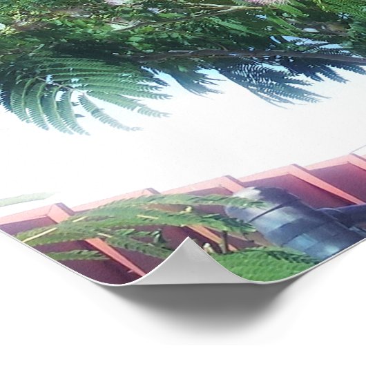 Mimosa Tree Poster (Ecke)