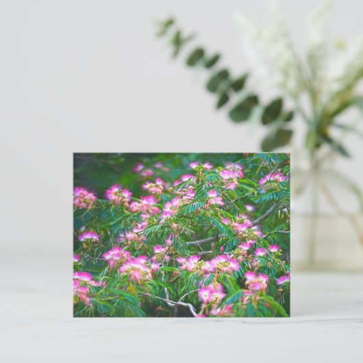Mimosa Tree Postkarte (Stehend Vorderseite)