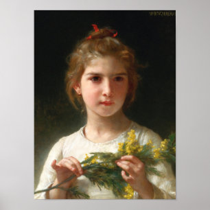 Mimosa von William Bouguereau Poster