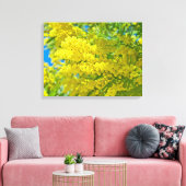 Mimosa Yellow Blume Floral Botanische Fotografie Leinwanddruck (Insitu (Wohnzimmer))