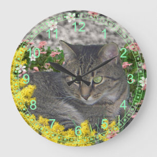 Mimose die Tiger-Katze in den Mimosen-Blumen Große Wanduhr
