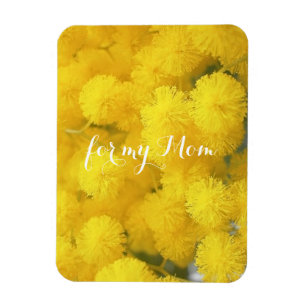 Mimose. Gelbe Blumen Magnet