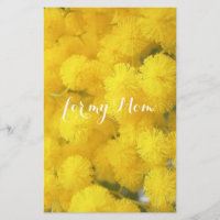 Mimose. Gelbe Frühlings-Blumen