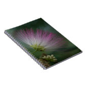 Mimosen-Baum-Rosa-Wildblume-Blumennotizbuch Notizblock (Rechte Seite)