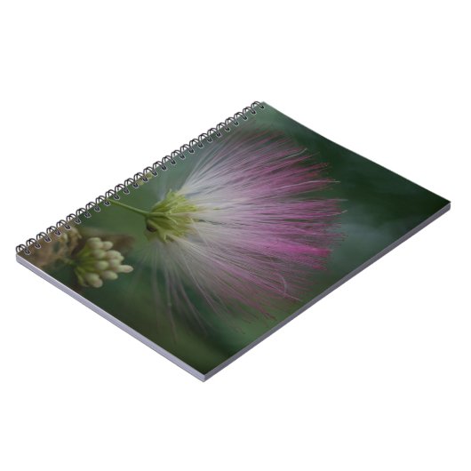 Mimosen-Baum-Rosa-Wildblume-Blumennotizbuch Notizblock (Linke Seite)