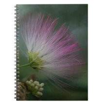 Mimosen-Baum-Rosa-Wildblume-Blumennotizbuch