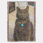 Mims Decke (Vorderseite Vertikal)