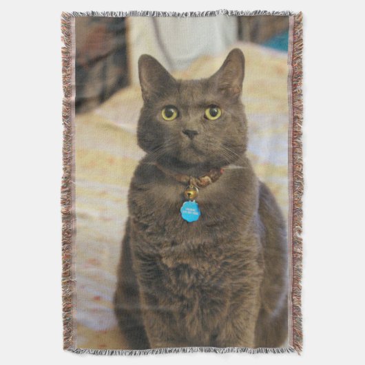 Mims Decke (Vorderseite Vertikal)