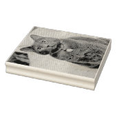 Mims Gummistempel (Stempel)