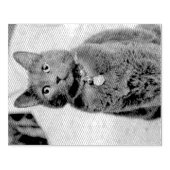 Mims Gummistempel (Prägung)