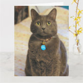 Mims Karte (Gelbe Blume)